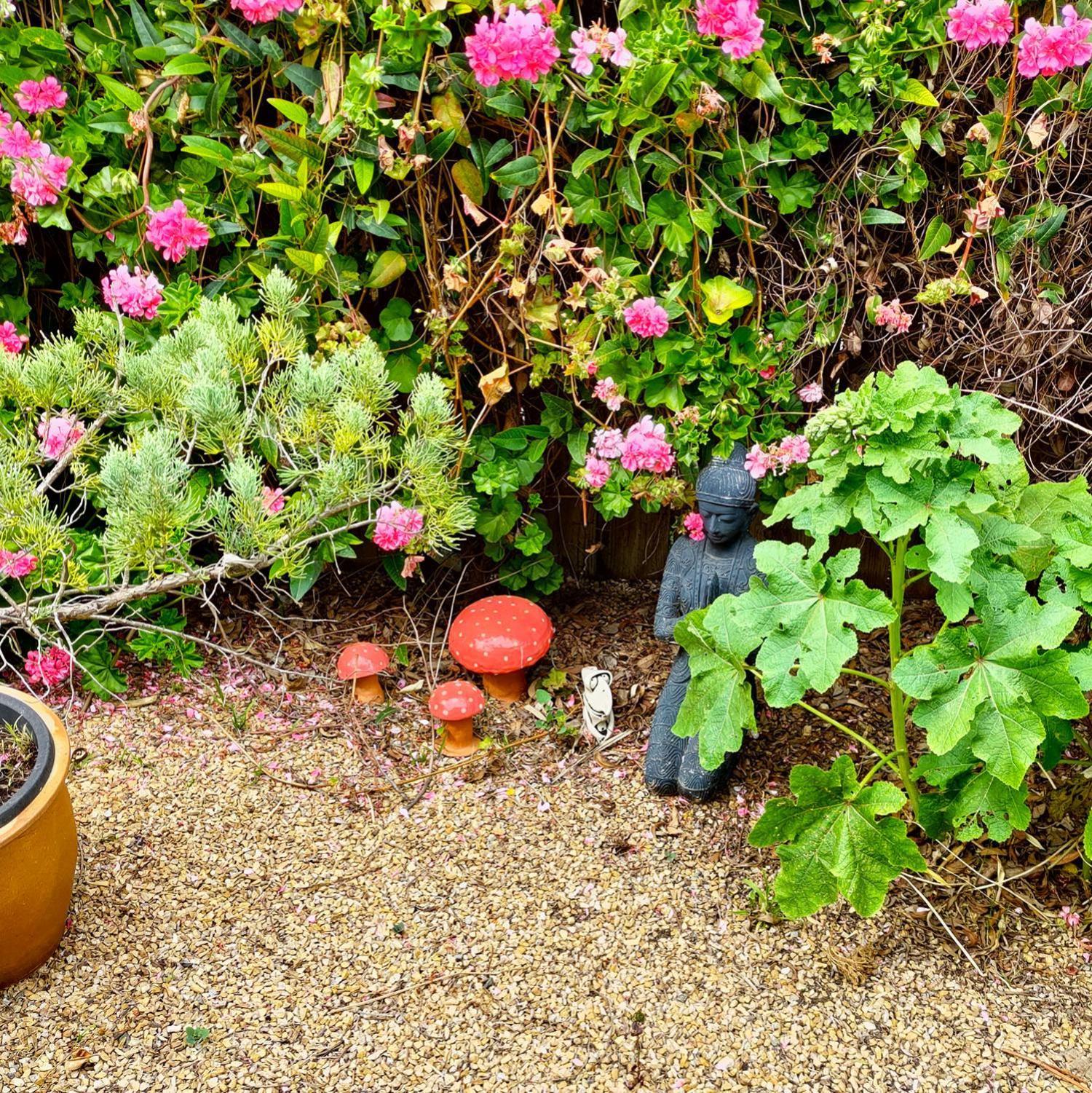 Gumnut Getaway Bnb Goolwa North Екстер'єр фото