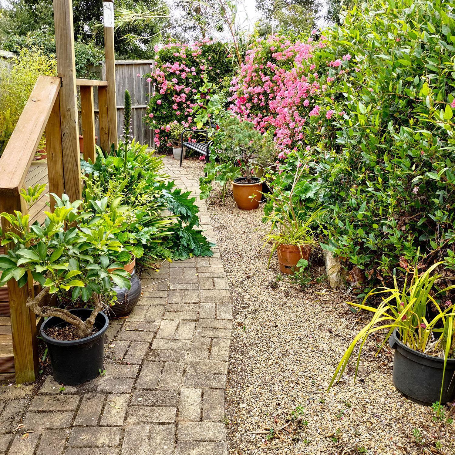 Gumnut Getaway Bnb Goolwa North Екстер'єр фото